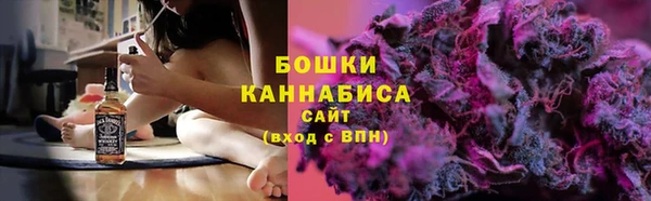 МДПВ Горно-Алтайск
