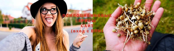 кокаин перу Гусев