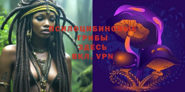 МДПВ Горнозаводск