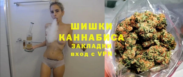 дживик Гусь-Хрустальный