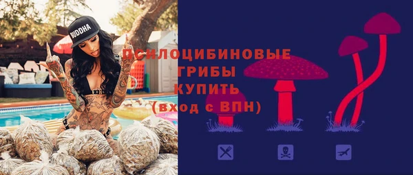 МДПВ Горно-Алтайск